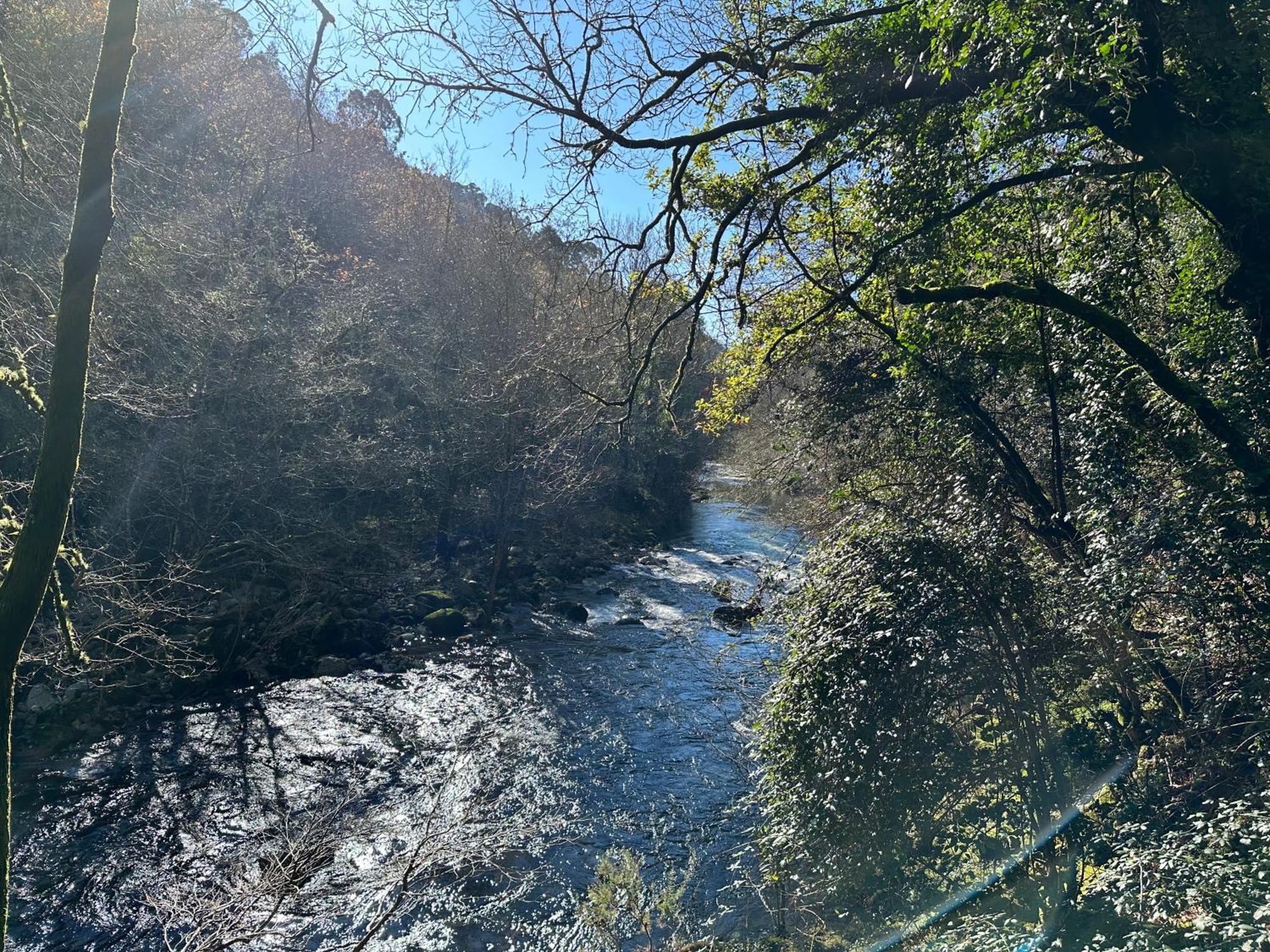 Anayn Villa Arcos de Valdevez Esterno foto